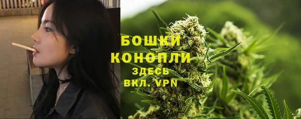 ALPHA PVP Кодинск