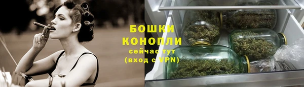 МДПВ Козловка