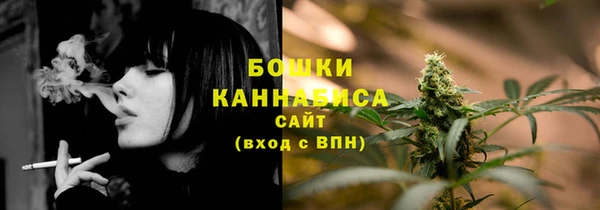 МДПВ Козловка