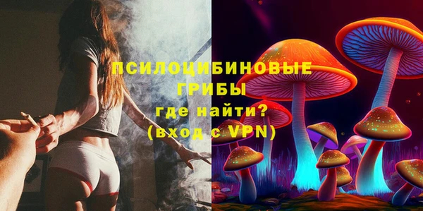 МДПВ Козловка