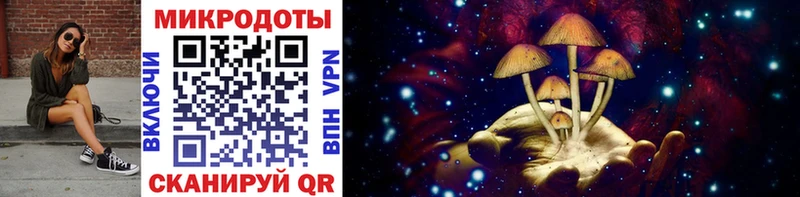 Купить  Губаха  Галлюциногенные грибы Psilocybine cubensis 