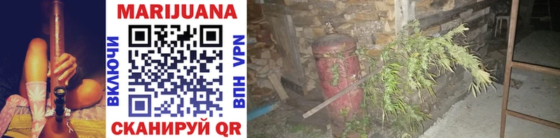 Купить закладки  Губаха  МАРИХУАНА VHQ 